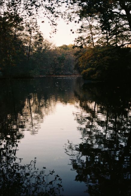 Calm lake reflecting autumn trees at twilight, creating a peaceful scene.