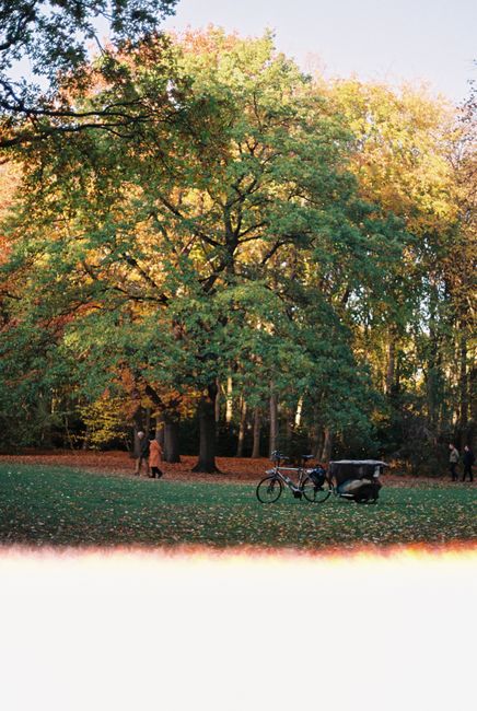 People enjoying a calm autumn day in a Berlin park with bikes and colorful foliage.