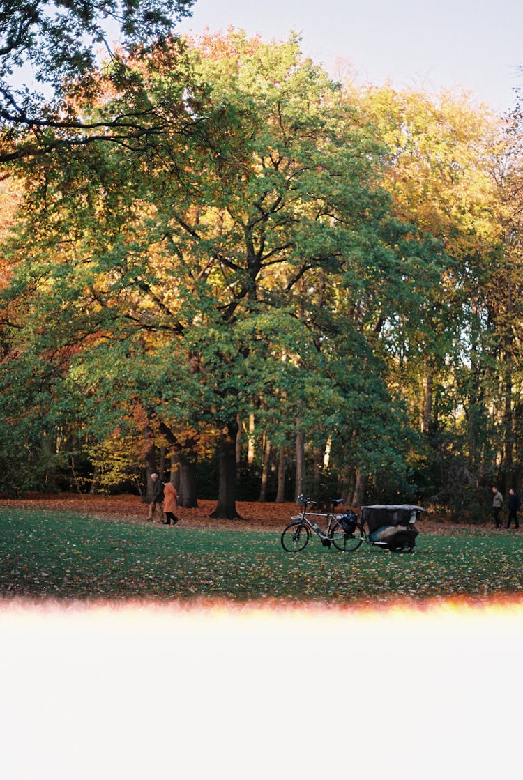 People Walking At A Park