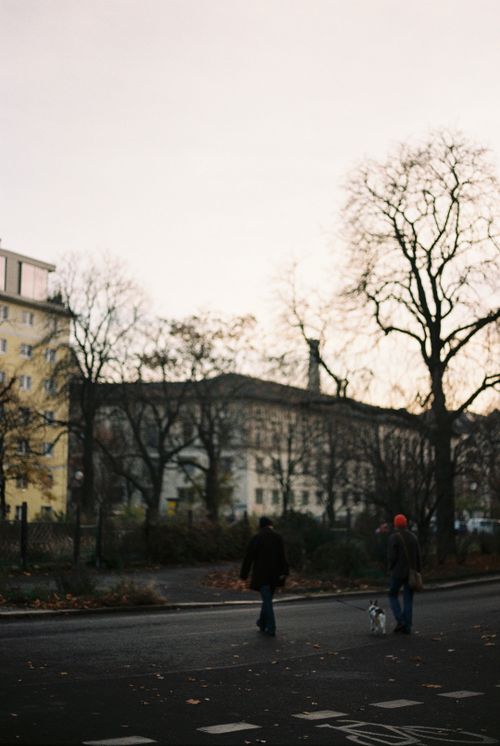 Free Two people and a dog crossing an urban street in fall, with bare trees and city buildings. Stock Photo