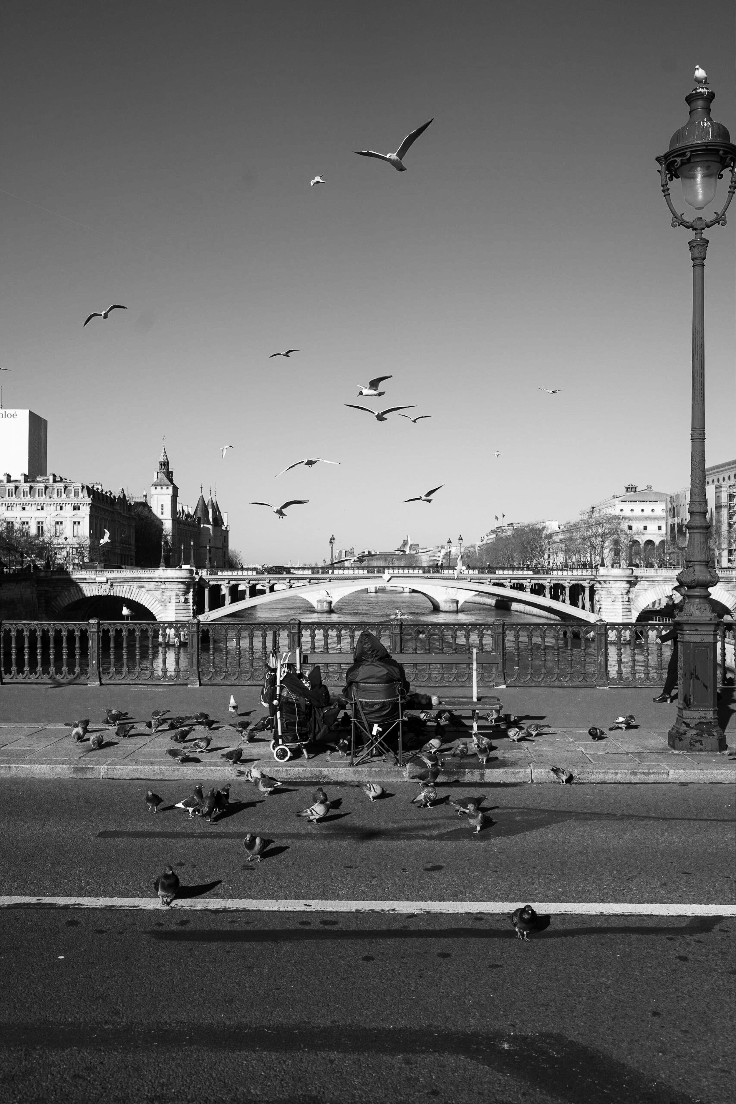 A serene view of birds flying over the Seine River in Paris, captured in black and white.