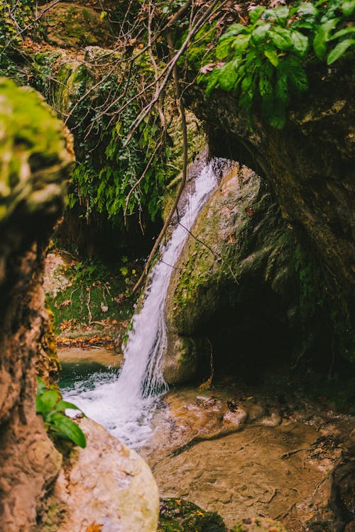 A Waterfalls Streaming on River Between Green Trees