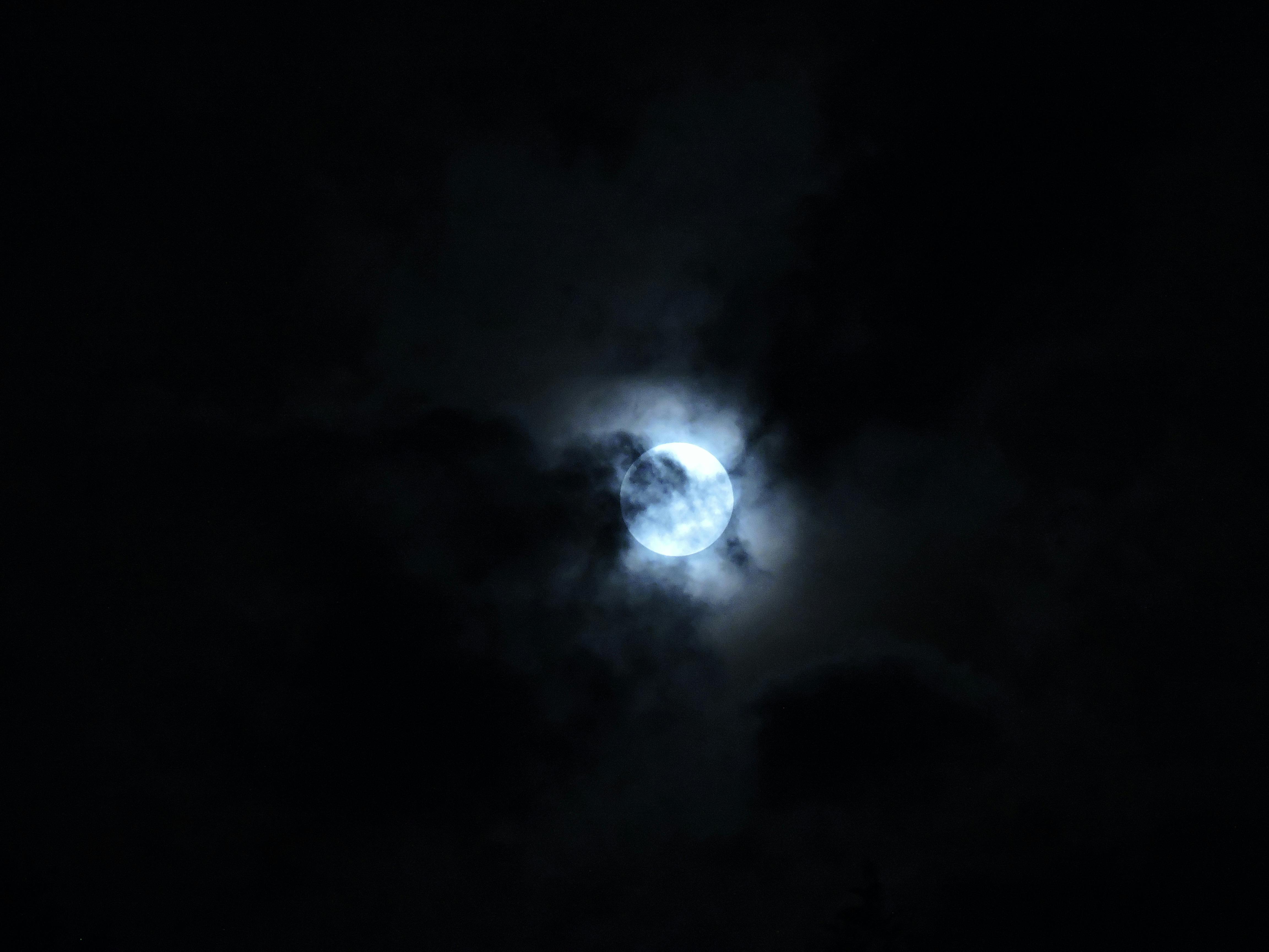 ブルームーン 夜 曇り夜の空の無料の写真素材