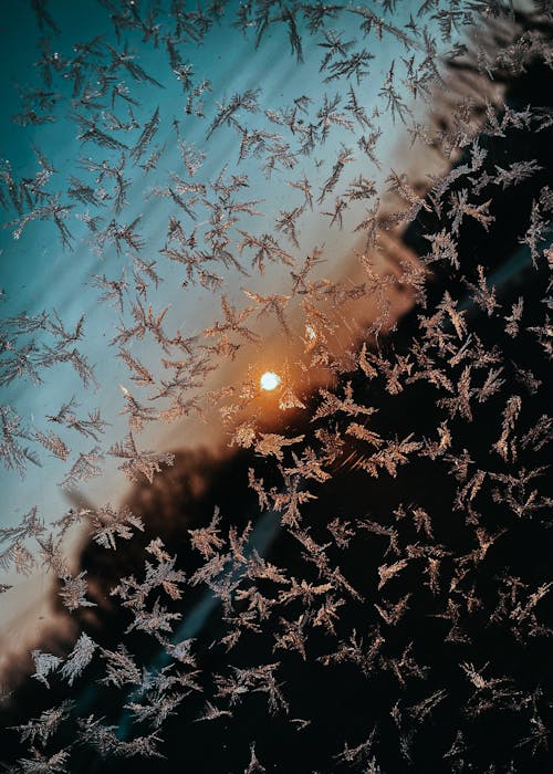 Foto profissional grátis de coberto de neve, cristal, cristal de gelo