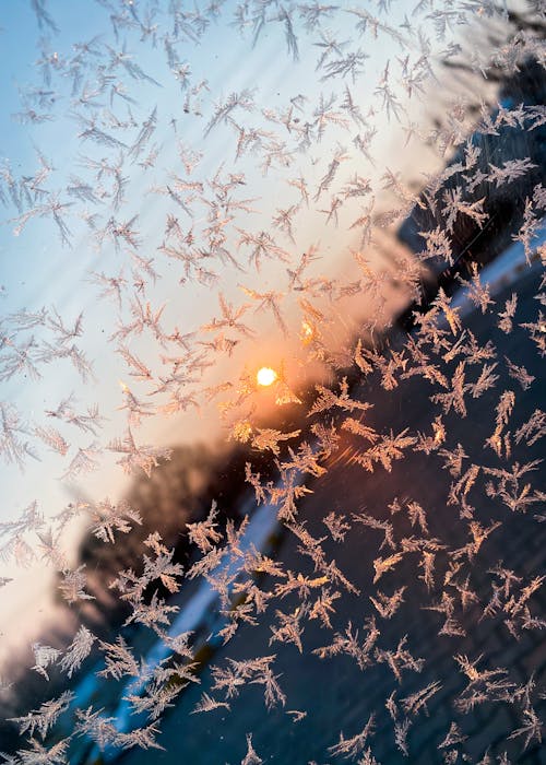 Foto profissional grátis de coberto de neve, com frio, gelo