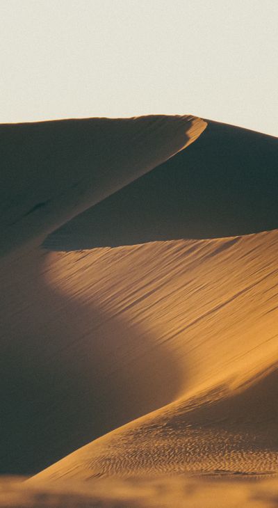 Sculpted sand dunes in golden light, photo by Mostafa Ft.shots on Pexels