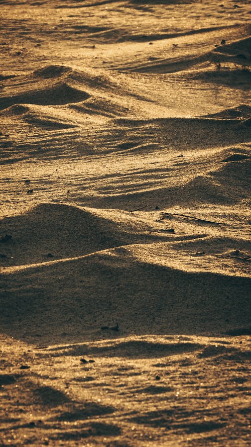Sand Dunes on Desert