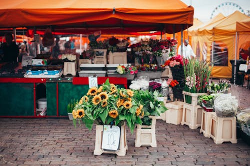 Ücretsiz Turuncu Gölgelik çadırının Yanında Fiyat Etiketli Rafta Ayçiçekleri Stok Fotoğraflar