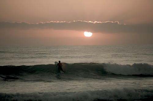 Free A Surfer at the Beach  Stock Photo