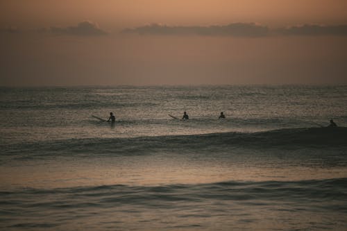 คลังภาพถ่ายฟรี ของ ชายหาด, ทะเล, นักเล่นเซิร์ฟ