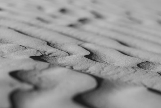 Wind-sculpted dunes in black and white by Dallin P on Pexels