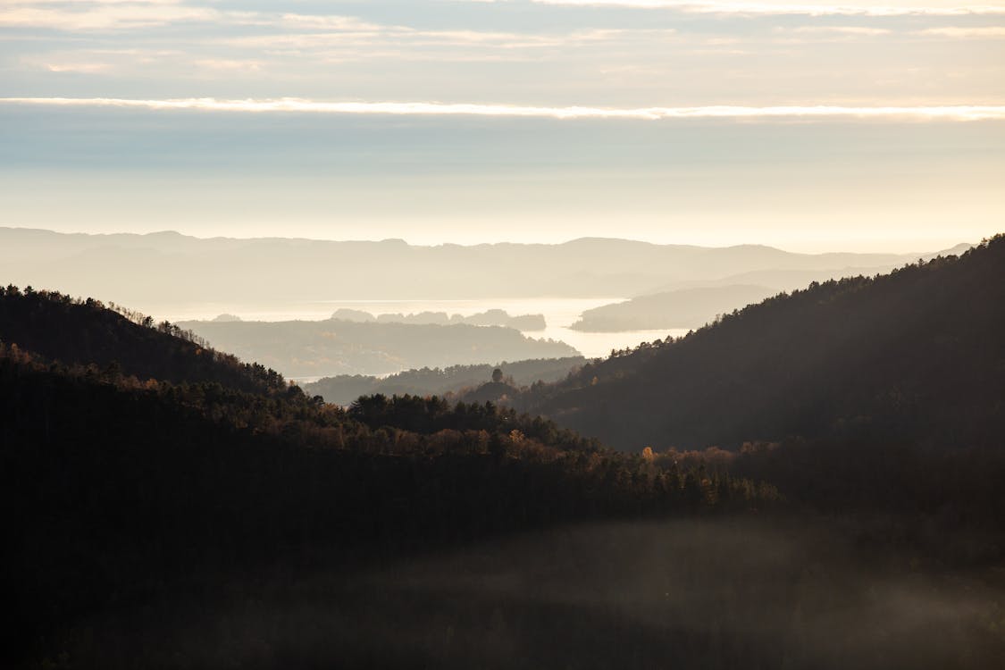Foto d'estoc gratuïta de alba, bosc, muntanya