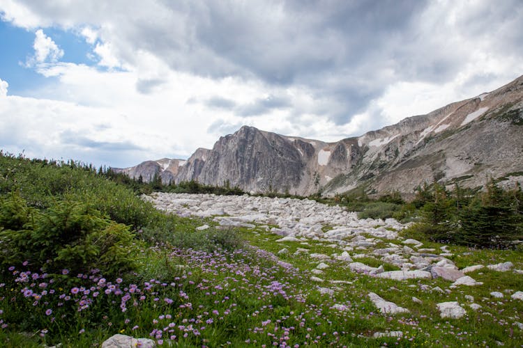 Landscape In Medicine Bow Mountains