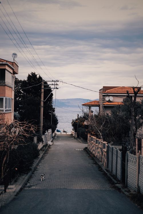 Free A peaceful street in İzmit, Turkey, leading to the sea, perfect for contemplative walks. Stock Photo