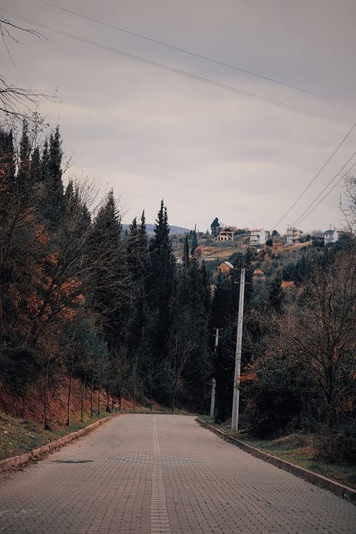 Free A tranquil view of a rural road leading to a town in İzmit, Turkey, surrounded by trees. Stock Photo