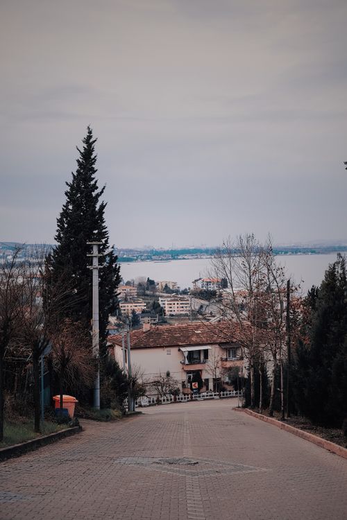 Free Explore the picturesque landscape of İzmit featuring a waterfront and lush pine trees. Stock Photo
