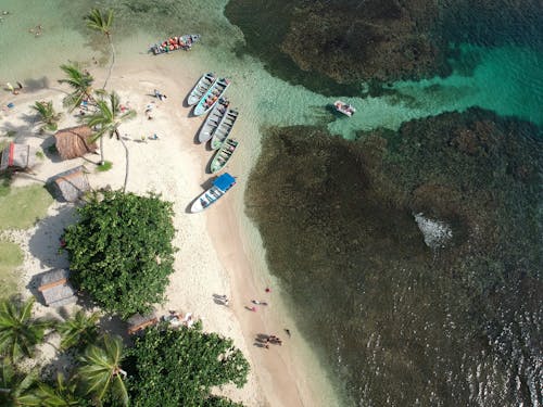 Birds Eye View of a Beach