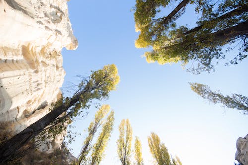 Foto stok gratis batu, cappadocia, daun-daun hijau