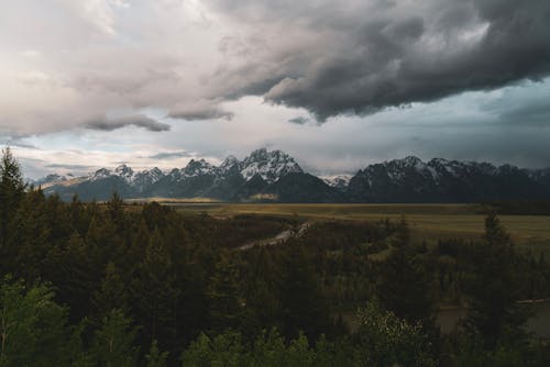 Clouds over Forest and Mountains