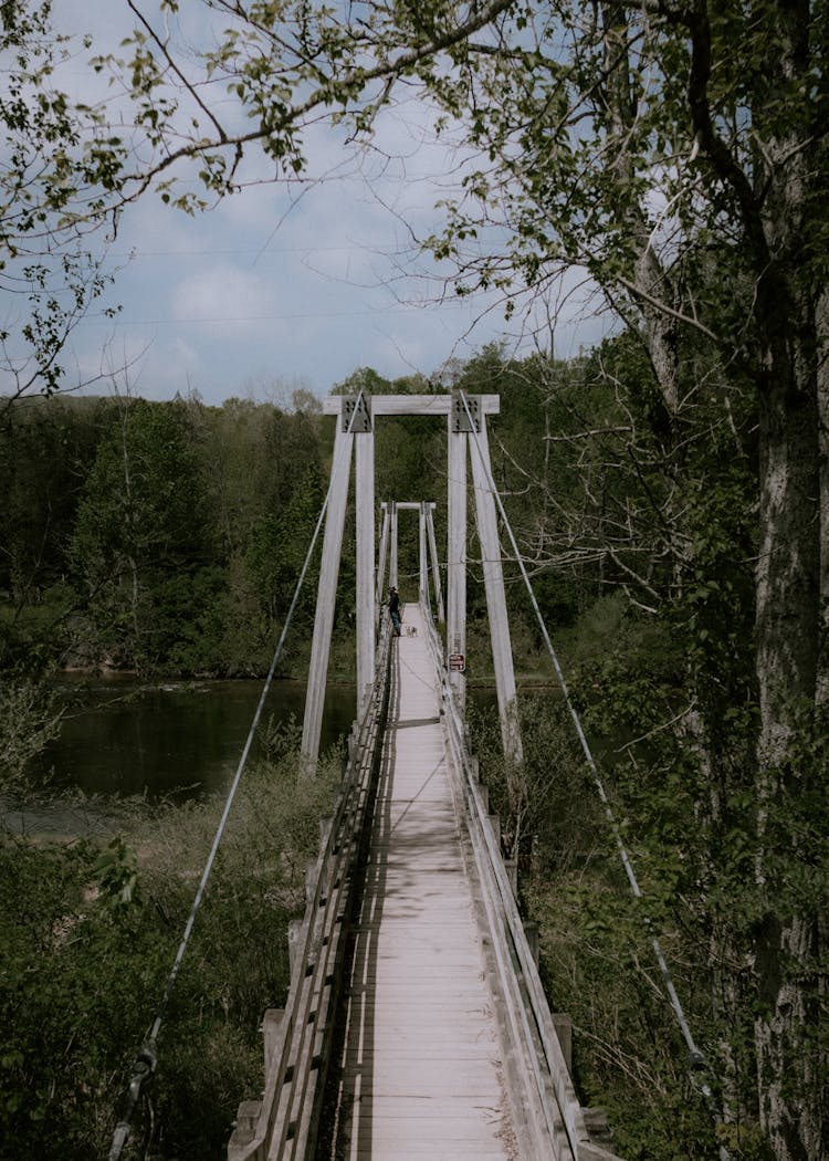 Wooden Bridge Over A River