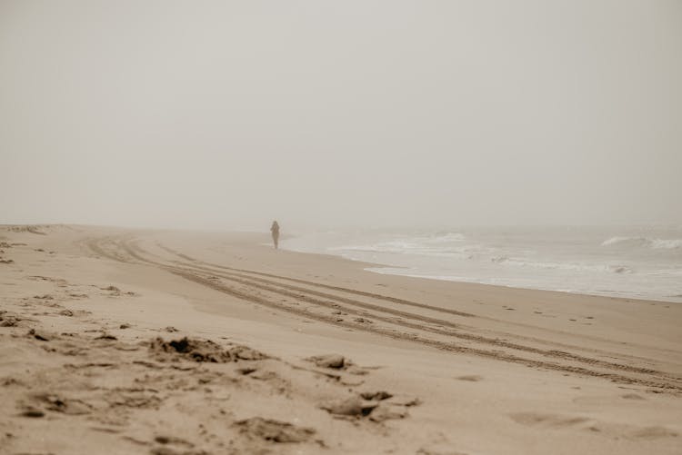 Person On Beach On Foggy Day