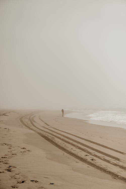 Silhouette of Person on Seashore in Fog