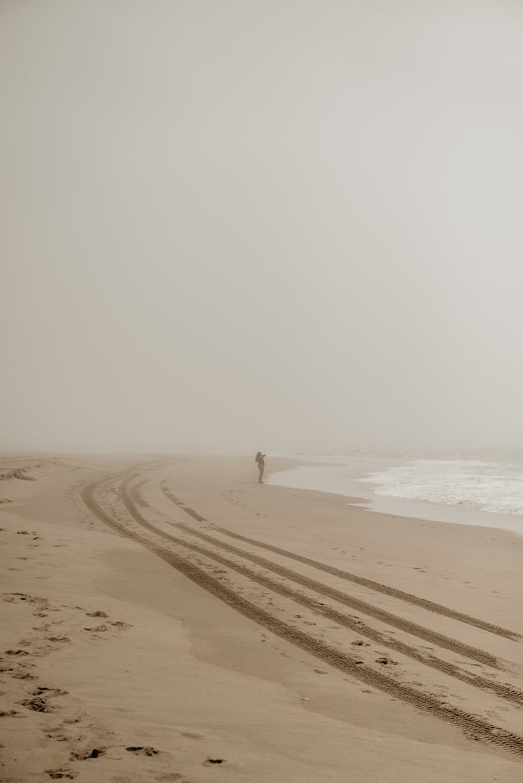 Silhouette Of Person On Seashore In Fog