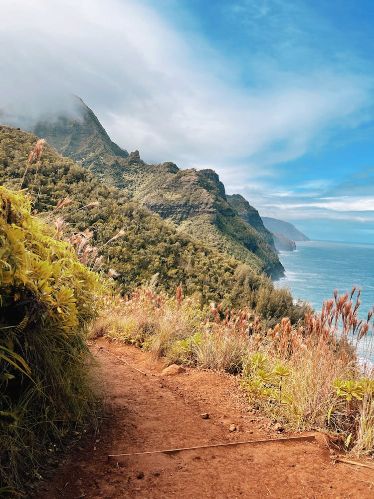 Trail In Mountains In Hawaii