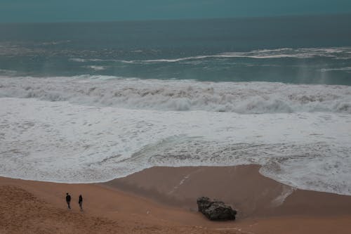 Photos gratuites de bord de mer, mer, mousse