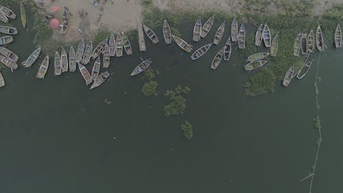 Boats on Riverbank