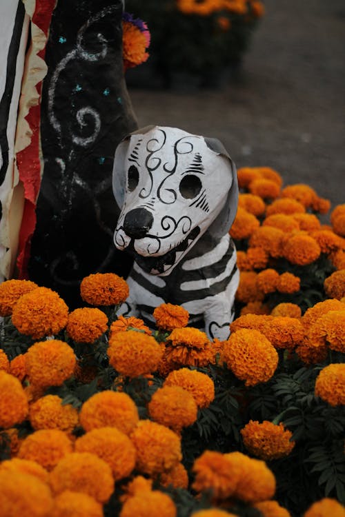 Dog Figurine amid Orange Flowers 