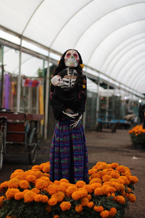 Základová fotografie zdarma na téma den smrti, dia de los muertos, festival