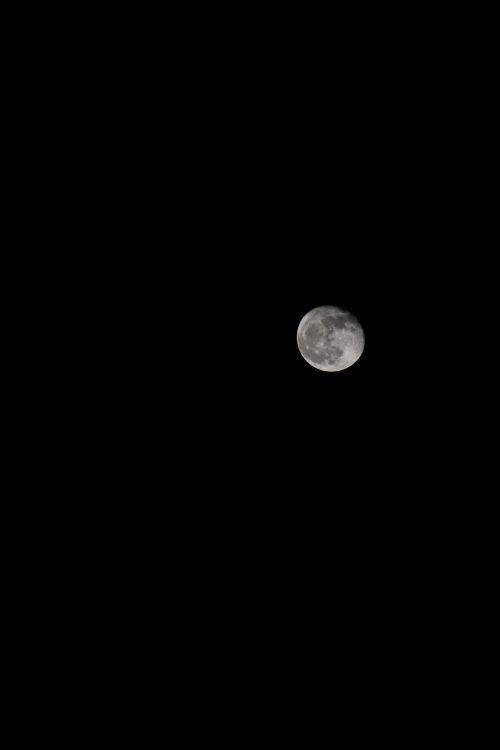 Free High-resolution photo of the moon with a dark black background, perfect for astronomy enthusiasts. Stock Photo