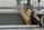 screen printing