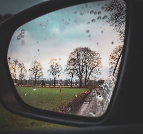 View of a Side Mirror