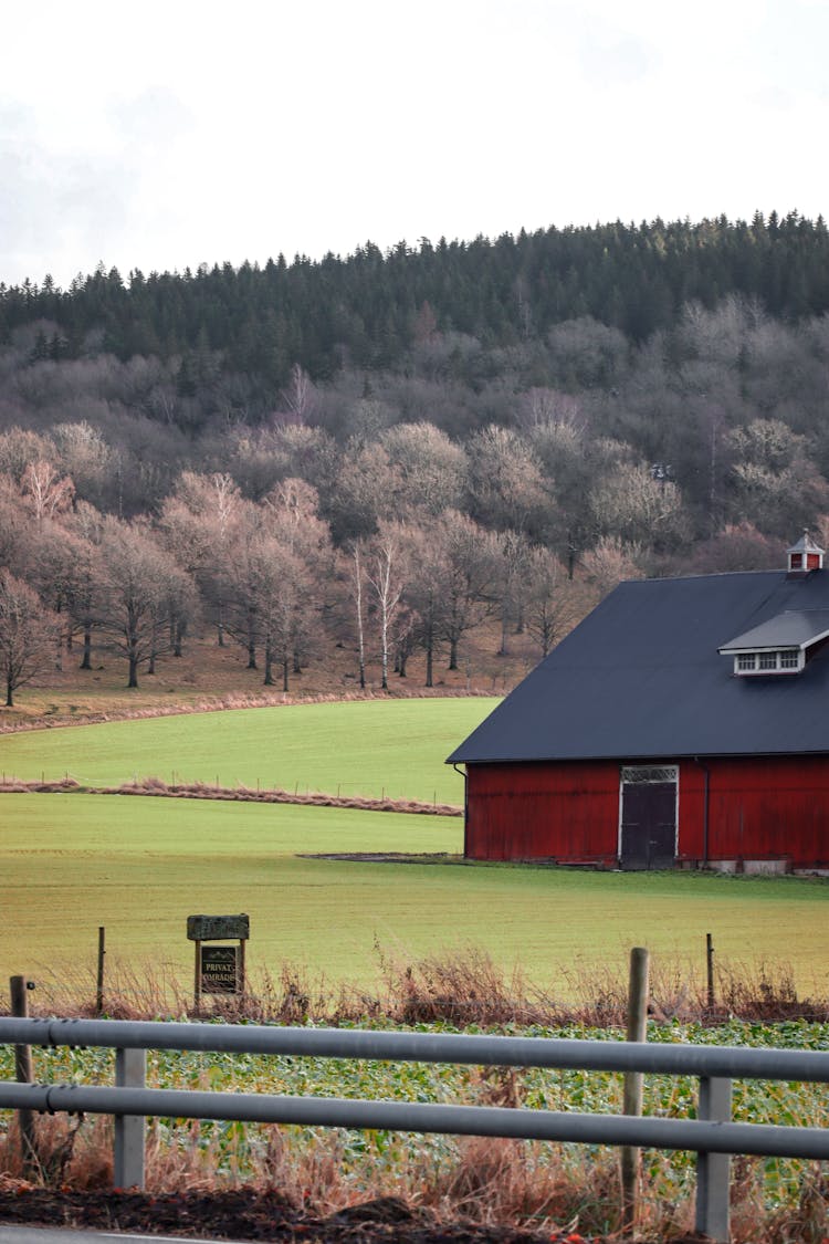 Field And Barn In Countryside