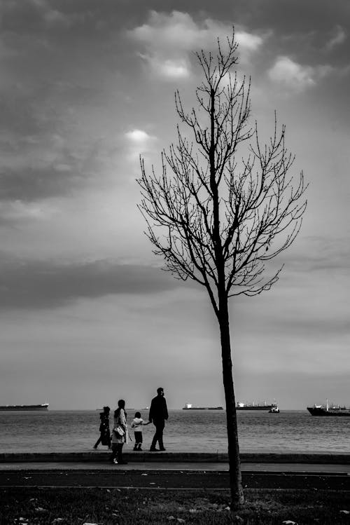 Kostenloses Stock Foto zu familie, hafen, meer