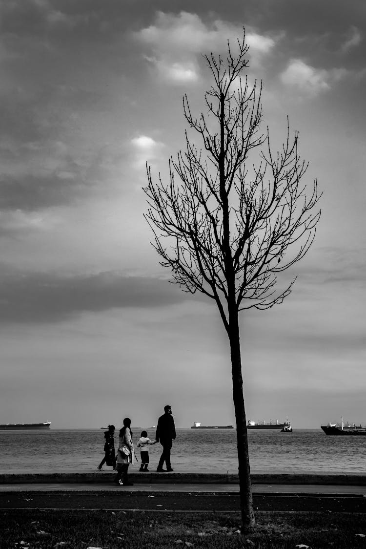 Family In Seaside