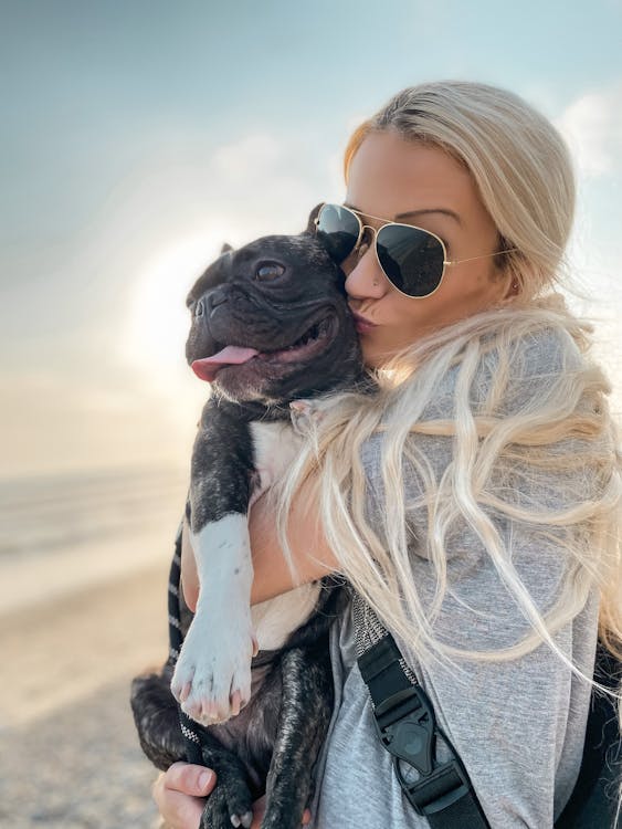 Free A woman in sunglasses holding a dog on the beach Stock Photo