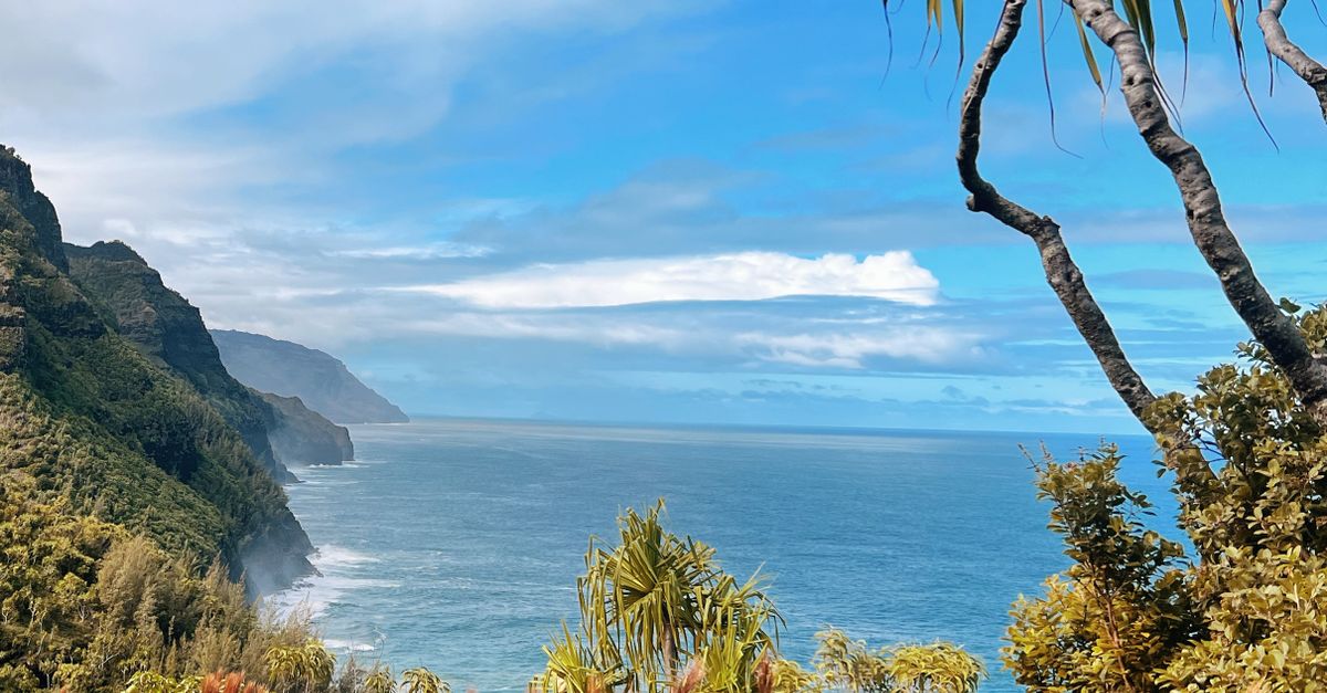 Photo by Allie Breathtaking view of Na Pali Coast with lush greenery and blue ocean in Kauai, Hawaii.