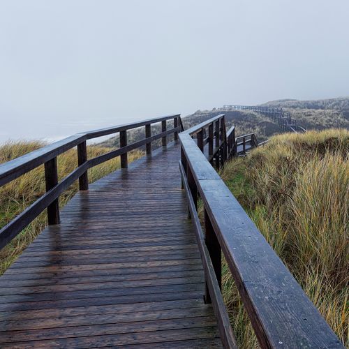 Free A misty boardwalk through grassy coastal dunes, creating a tranquil autumn atmosphere. Stock Photo