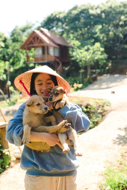 A joyful woman wearing a sunhat holds two cute puppies in a sunny outdoor setting.
