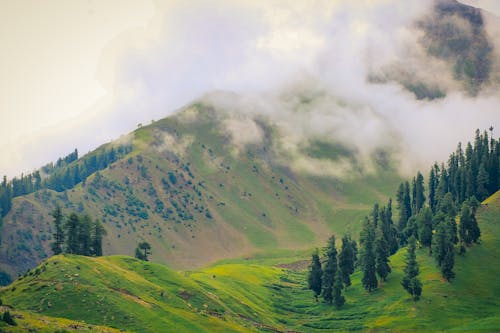 山, 深綠色的植物, 美麗的天空 的 免費圖庫相片