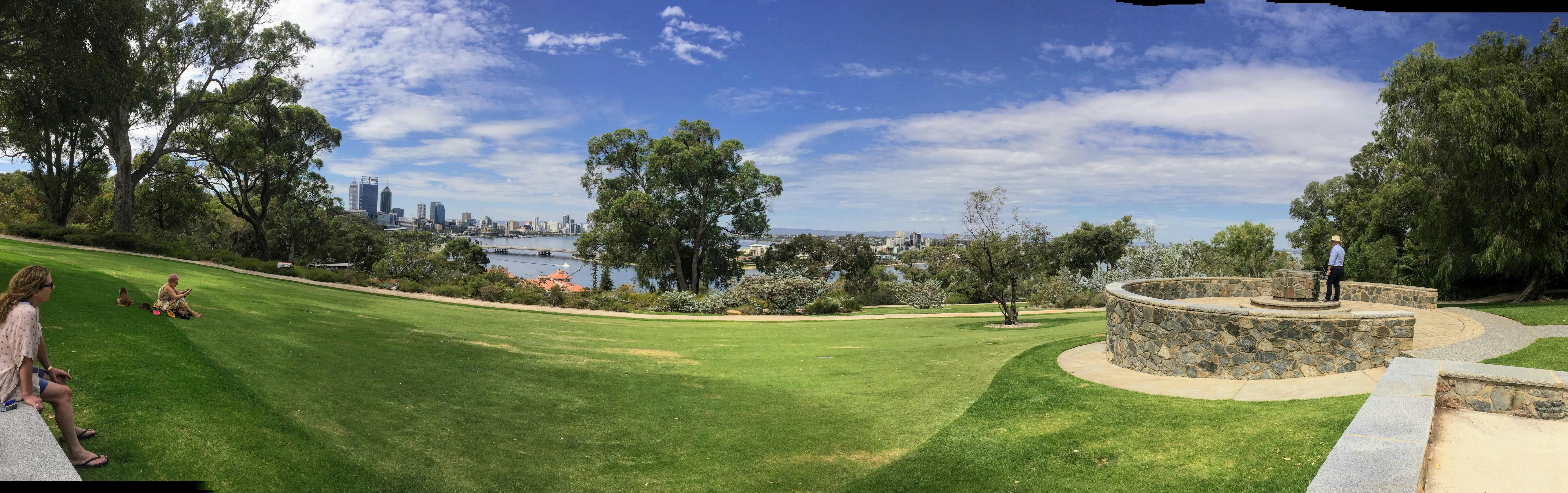 Kostenloses Foto zum Thema kings park