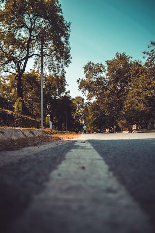 Free stock photo of perspective, road