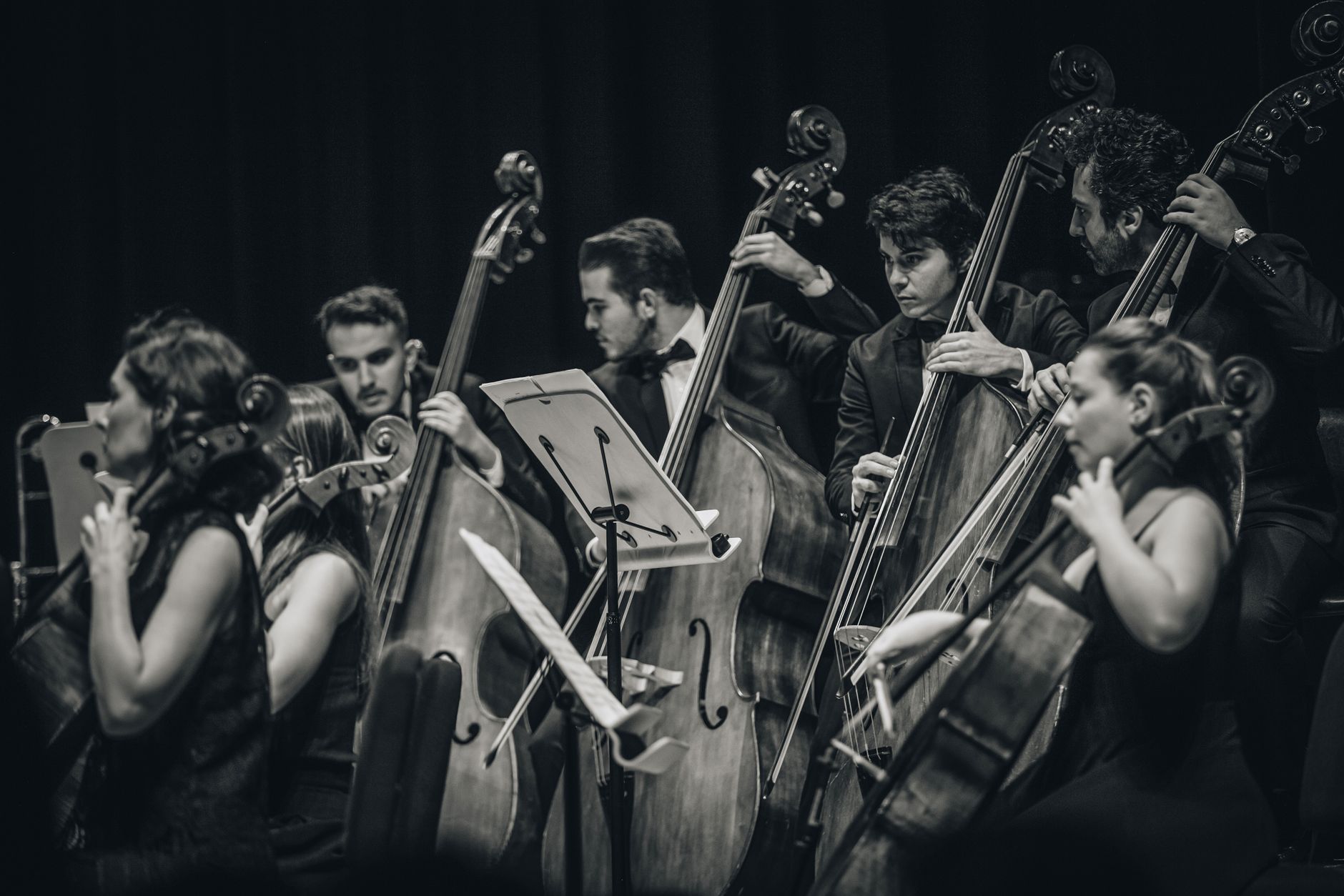 O que está por trás da excelência de uma orquestra sinfônica?