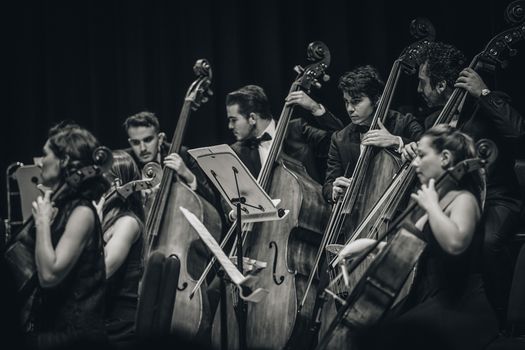 Ottawa Chamber Music Society's Spring Series Brings World-Class Performers to the Capital