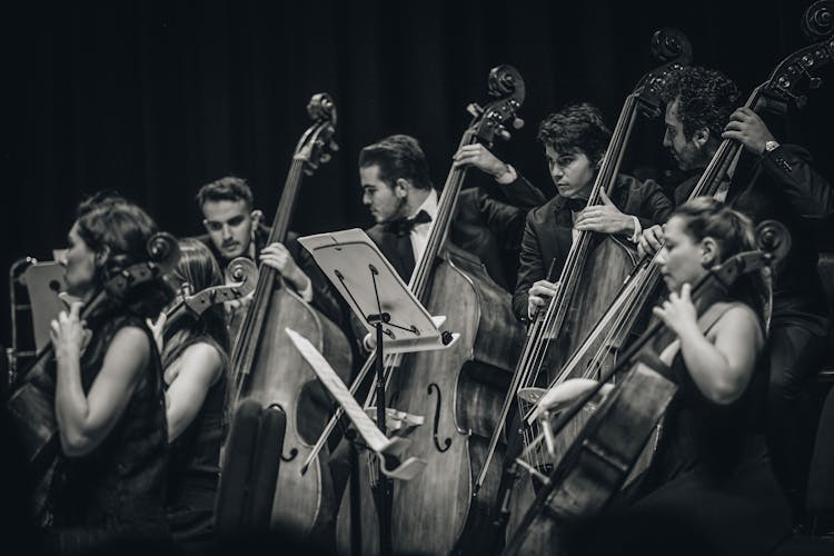 People Playing Violins 