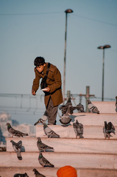 Free A man feeds pigeons on stone steps in İstanbul, capturing a quiet urban scene. Stock Photo