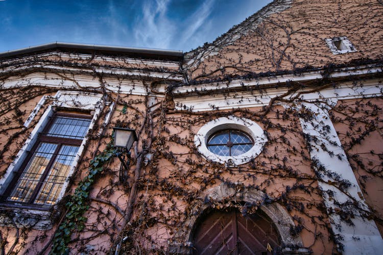 Low Angle Shot Of A Residential House Covered In Vines 